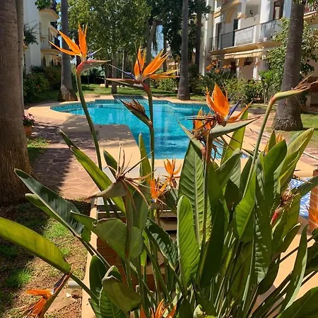 El Patio - La Lubica Denia