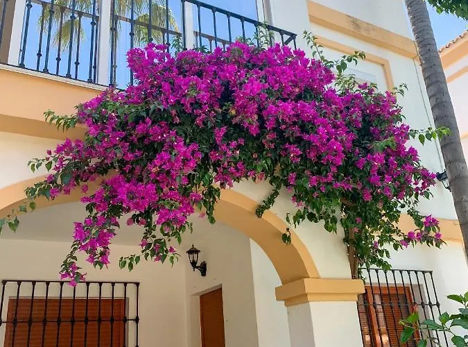 El Patio - La Lubica